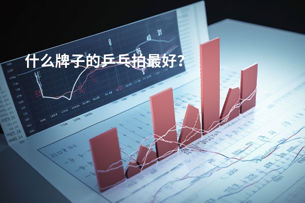 什么牌子的乒乓拍最好?